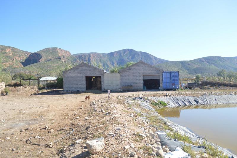3 Bedroom Property for Sale in Calitzdorp Western Cape
